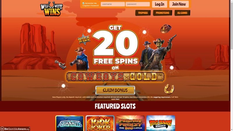 A look at winbeast casino review